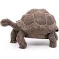 Miniatyrbild 2 av 6: Galapagos sköldpaddsfigur - Papo - Wild Life Collection - Leksak för barn från 3 till 10 år gamla