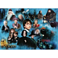 Pikkukuva 1 / 3: 1000 palan palapeli: Harry Potter Single Colorin maaginen maailma