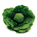 Miniatyrbild 1 av 2: Erzi - Sallad Grön