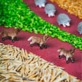 Miniatyrbild 4 av 4: Sensorisk flaska - Petit Boum - Spy - Skog - Baby - Beige - 3 månader Beige