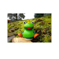 Pikkukuva 3 / 4: Selecta - Pépito, pinottava sammakko - SCHMIDT Grön