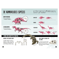 Pikkukuva 6 / 6: Kirja ja 3D-malli Dinosauruksista - Trikeraatti Blå