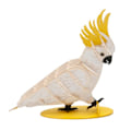 Miniatyrbild 1 av 2: 3D-modell i papper - Fridolin - Kaktusfågel - 11x10x4 cm - Att montera själv - Från 8 år Vit