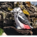 Miniatyrbild 3 av 3: Wudimals - Hackspettfigur - K-PLAY Beige