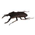 Miniatyrbild 2 av 5: Fridolin - 3D-modell i papper Lucane Svart