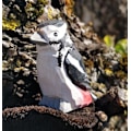 Miniatyrbild 2 av 3: Wudimals - Hackspettfigur - K-PLAY Beige