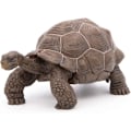 Miniatyrbild 1 av 6: Galapagos sköldpaddsfigur - Papo - Wild Life Collection - Leksak för barn från 3 till 10 år gamla