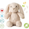 Pikkukuva 1 / 2: Cloud b®Love Light Buddies - Billy Bunny™ öinen valaisin melodialla, Jänis, 0m+. 5 färgvariationer