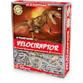 Pikkukuva 1 / 4: Ulysse - Paleo-setti - Vélociraptor