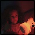 Pikkukuva 4 / 4: Lamppu Kidywolf Kidynight Koala