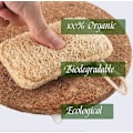 Pikkukuva 4 / 5: Luomusieni-luffa 6 kpl, 100 % luomua, biohajoava ja kompostoitava, luonnollinen ympäristönsuojelu, keittiö, kylpyhuone, retkeily (L)
