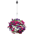 Miniatyrbillede 3 af 5: Ampelhejs 2-pak Rope Wheel Ampelhejs Plantelift Indbygget, Blomsterkurv Krog, Justerbar Træk Ned (W)