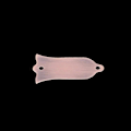 Miniatyrbild 5 av 5: 2 Hål Metall Truss Rod Cover Gitarr Bas Ersättningsdel Gitarrtillbehör (W)