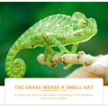 Miniatyrbild 2 av 4: 8 st Husdjurshatt med justerbar elastisk rem - Stickad hatt för marsvin Reptilhatt Kostym Hamsterkläder för små reptildjur Husdjursartiklar (W)