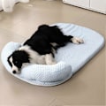 Miniatyrbillede 5 af 5: Aftageligt Hunde Kat Is Kølemåtte Selvkølende Stof Kæledyr Sommer Sove Seng Vaskbar Køle Sofa