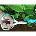 Miniatyrbillede 5 af 5: Indendørs Plantesaks og Havesaks, Japansk SK5 Rustfrit Stål Druesaks, Saks til Blomster, Urter, Bonsai og Græs, Premium Hus