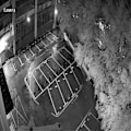 Miniatyrbillede 4 af 5: Anjvision Modul MC800S Dobbelt Lyskilde Ssc338-IMX418 Netværksmodul 8 Millioner Chip