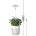 Ängelring Växtlampa Dimbar Timer Justerbar Höjd För Inomhusväxter 1pcs