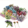 Miniatyrbillede 1 af 4: 12/36/72/144 stk. støvdragere til håndarbejde kunstige blomster bryllupsfest dekoration DIY scrapbooking guirlande håndværk falske blomster Green 144 pcs
