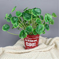 Miniatyrbillede 5 af 5: Kunstigt Mini Bonsai Sæt med Paradisæble, Lotusblade & Pengeurt til Borddekoration i Hjemmet