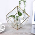 Miniatyrbild 2 av 5: Guld Geometrisk Glas Planteringskärl Suckulent Växtbehållare Konstgjord Blomlåda Dekoration
