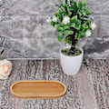 Miniatyrbilde 4 av 4: Oval Bambusbrett Naturlig Dessertkoppbrett Liten Treostplate x