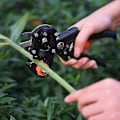 Miniatyrbillede 5 af 5: Ny podningsmaskine til frøplanter, frugttræspodningsmaskine, 1 stk. sort