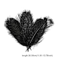 Miniatyrbillede 3 af 5: 10 stk. Strudsefjer Plume Centerpiece Bryllupsfest Borddekoration 30-35cm Sort