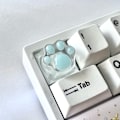 Miniatyrbild 1 av 5: Tangentbordstangent Kattfotdyna Transparent Bakgrundsbelysning RGB WASD Pil ESC Tangent OEM XDA Cherry Profil Mx Switch Tiffany 1 Pcs