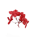 Miniatyrbilde 5 av 5: 5 stk. Tørkede Pressede Blomster 5 Farger Hortensia Blomsterblader for Anheng Halskjede Smykkelaging Håndverk DIY Tilbehør