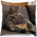 Katt som håller mobiltelefon tecknad 3D-tryckt kuddfodral - E6V3 A