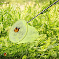 Miniatyrbild 2 av 5: Fjärilsnät för utomhusfångst Teleskopiskt fiskenät i rostfritt stål