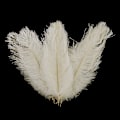 Miniatyrbillede 2 af 5: 10 stk. Strudsefjer Plume Centerpiece Bryllupsfest Borddekoration 30-35cm Sort