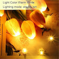 Miniatyrbilde 3 av 5: 60 stk LED Ballonglys, Mini LED Lys Varmt Hvit, LED Ballonglys For Papirlykter, Ballonglys, Bursdagsfest