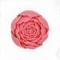 Miniatyrbilde 3 av 5: DIY Krystall Epoxy Rose Blomst Silikon Håndform Q