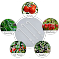 Miniatyrbillede 5 af 5: 100 stk. 9,5 cm tomatkroge til tomatplanter J-form til tomater og grøntsager