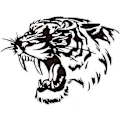 Miniatyrbilde 1 av 5: 2 stk. bilklistremerker Bilpanser bilklistremerker Reflekterende tigerhode klistremerker Tilpasset personlighet modifiserte karosseriklistremerker