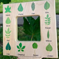 Miniatyrbild 3 av 5: Natur Guide Finder Träleksak för Småbarn Handhållen Dubbelsidig Bräda-A