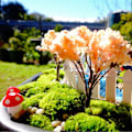 Miniatyrbilde 4 av 5: 50 stk. Mini Soppdekorasjon Miniatyr Hagehåndverk Små Kunstige Sopp