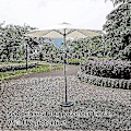 Miniatyrbillede 3 af 5: 3m Haveparasol Udskiftningsbetræk, 8 Arme Stof Terrasseparasol Udskiftningsbaldakin Vandafvisende, Marked Bord Parasol Baldakin