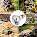Miniatyrbillede 4 af 4: 2 stk. E27 Gennemsigtige Reptil Varmelegeme Pærer, Holdbar Infrarød Varmelampe Kæledyrs Varmelegeme Pære til Reptil 220-230V
