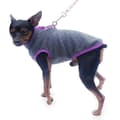 2 st Husdjur Hund Valp Vinter Varma Kläder Fleece Tröja Pullover Jacka Kappa Kläder Mörkgrå