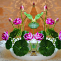 Miniatyrbillede 3 af 5: 1 Pose Frø af Lotusblomst Mini Sjælden Mix K