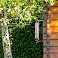 Miniatyrbild 2 av 3: Utomhustermometer med bronsfärgad design - Stilfull trädgårdstermometer utomhus, lämplig för vägg, växthus, garage, enkel att använda