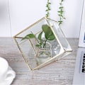 Miniatyrbild 3 av 5: Guld Geometrisk Glas Planteringskärl Suckulent Växtbehållare Konstgjord Blomlåda Dekoration