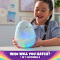 Miniatyrbild 6 av 8: Hatchimals Alive Mystery Hatch Draggle multifärg