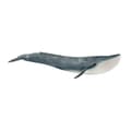 schleich® WILD LIFE Blåval 14806 multifärg