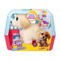 Little Live Pets Ouchies Interaktiv Hund multifärg