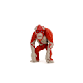 Miniatyrbild 2 av 8: Godzilla x Kong Metallfigur 1-pack 2,5” Skar King multifärg