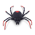 Miniatyrbild 5 av 5: Robo Alive Crawling Spider Glow in the dark multifärg